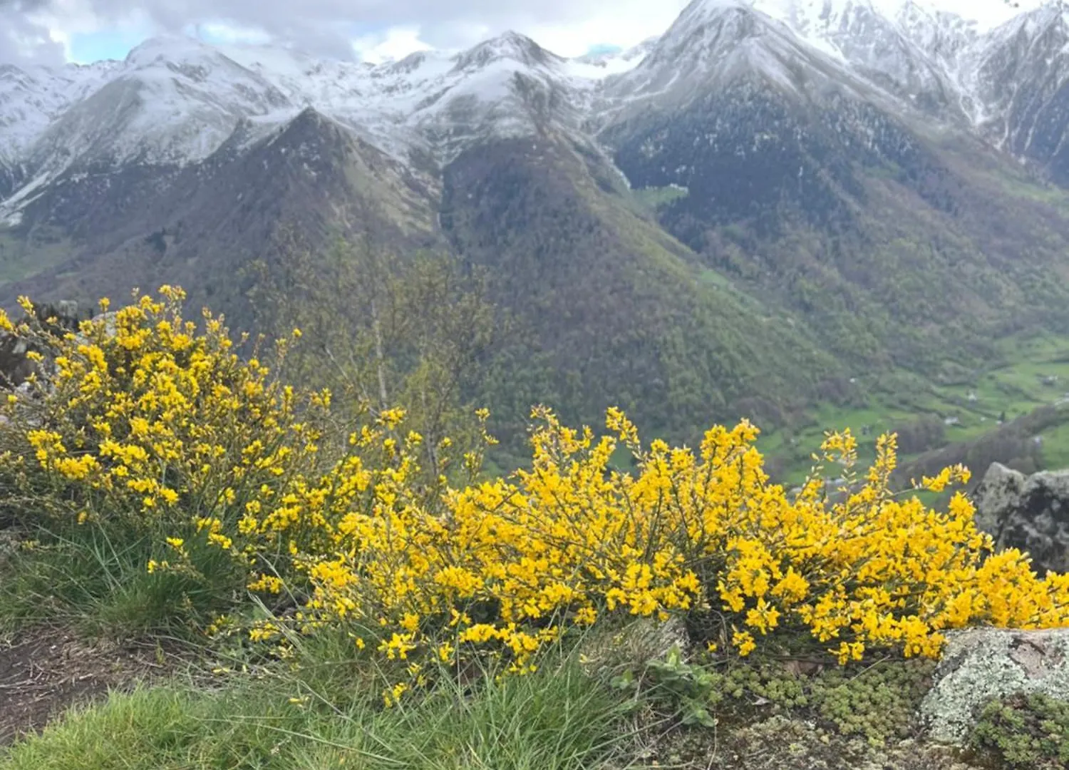 La Maison Garrap Dans Le Val D'Azun Arrens-Marsous Franciaország